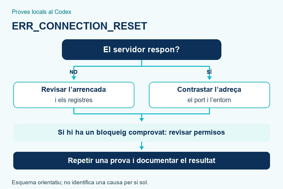 Arbre orientatiu: comprovar servidor, adre&ccedil;a, entorn i permisos; repetir la prova i registrar el resultat
