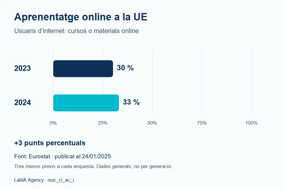 Aprenentatge en línia entre usuaris d'internet de la UE: 30% el 2023 i 33% el 2024