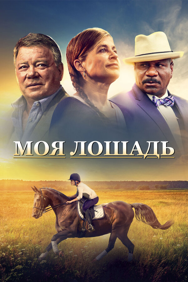 Постер Моя лошадь (2016)