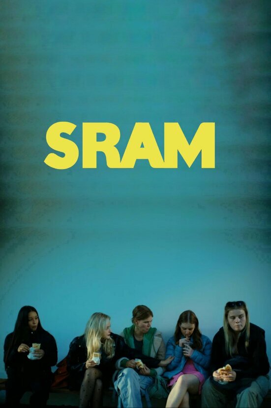 Постер Стыд. Хорватия (2024)