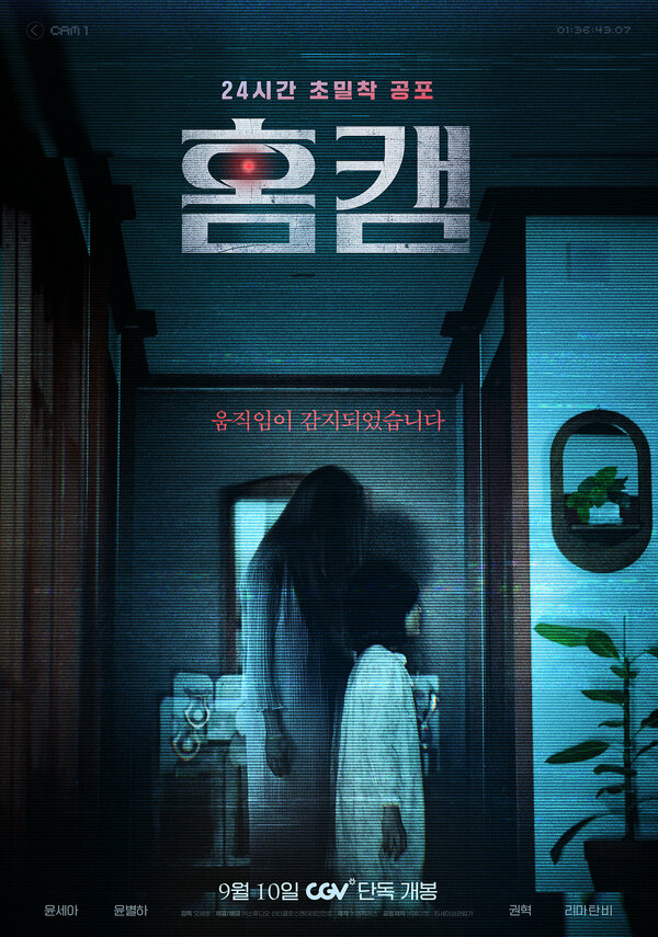 Постер Домашняя камера (2025)