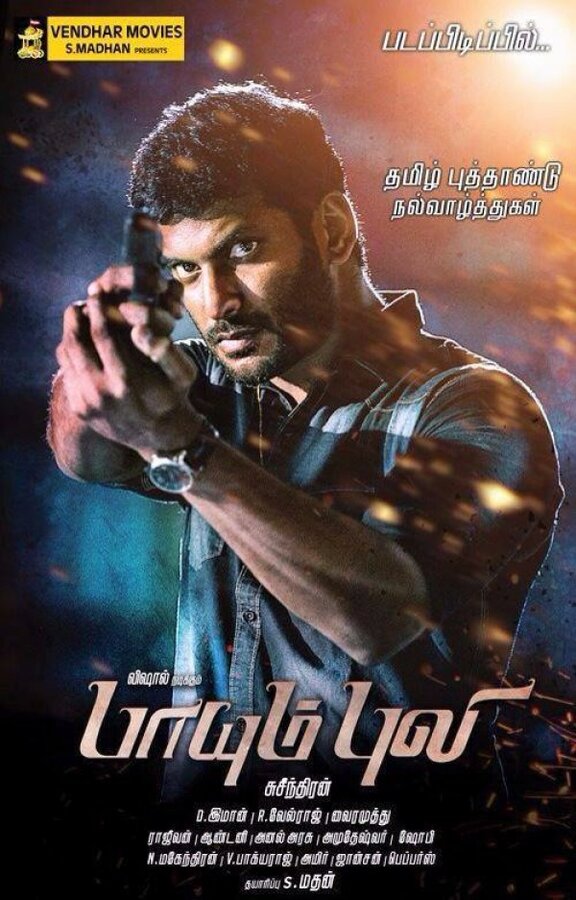 Постер По прозвищу «Тигр» (2015)